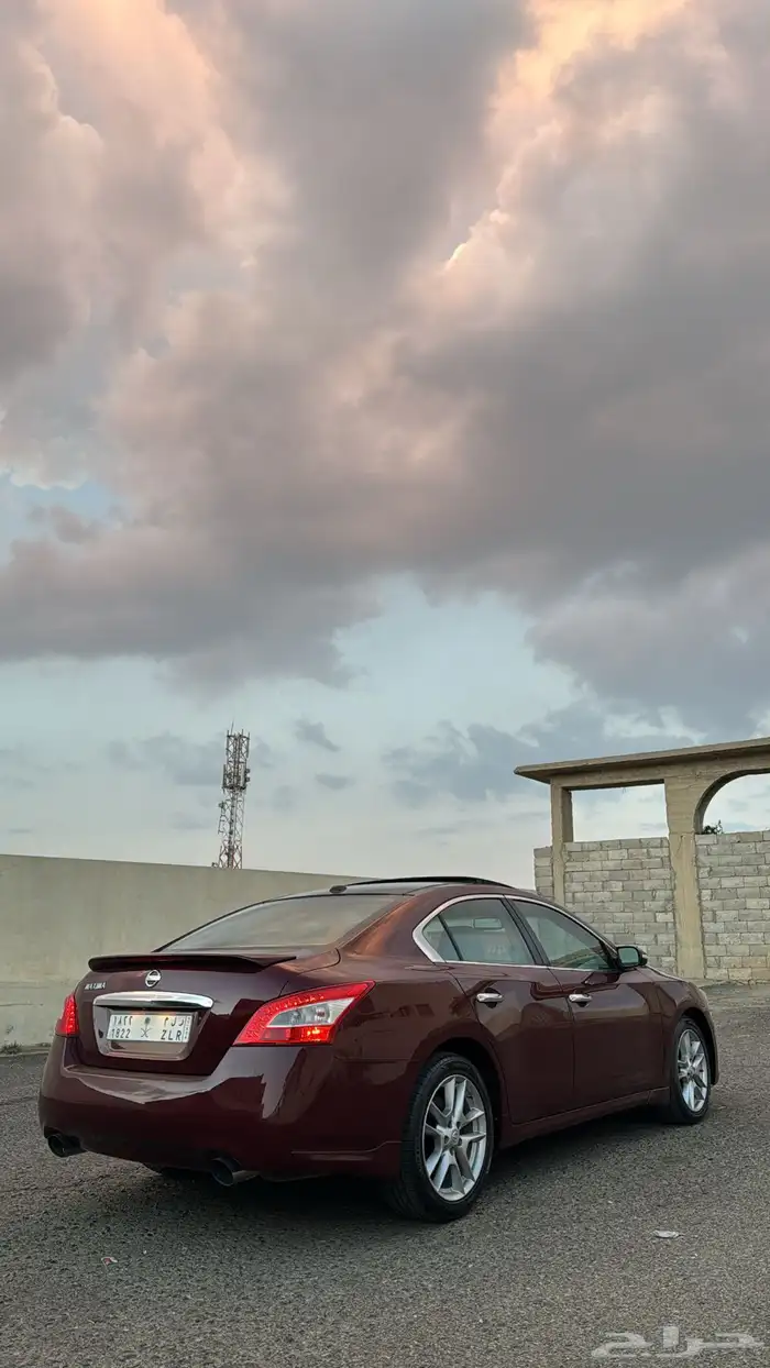 نسيان مكسيما 2009 2