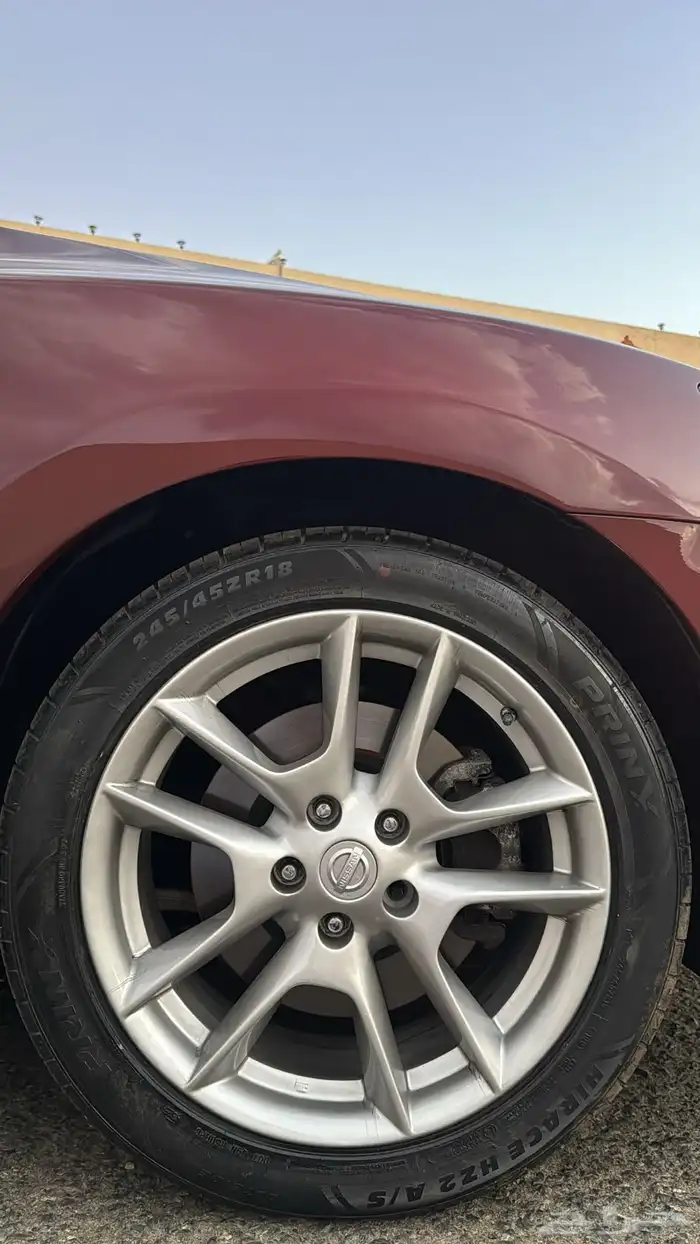 نسيان مكسيما 2009 14