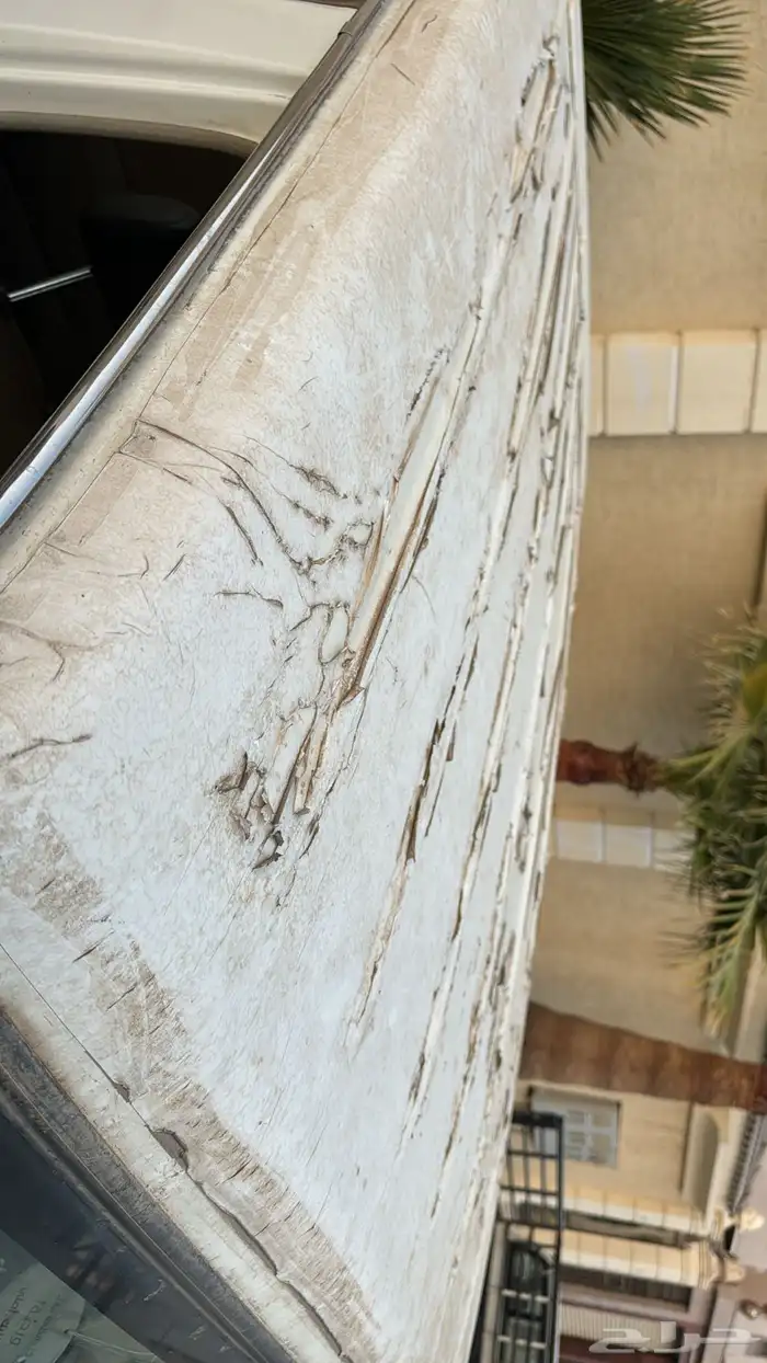 جيب ربع 2016 على الشرط ( نظيف جدا  ) 18