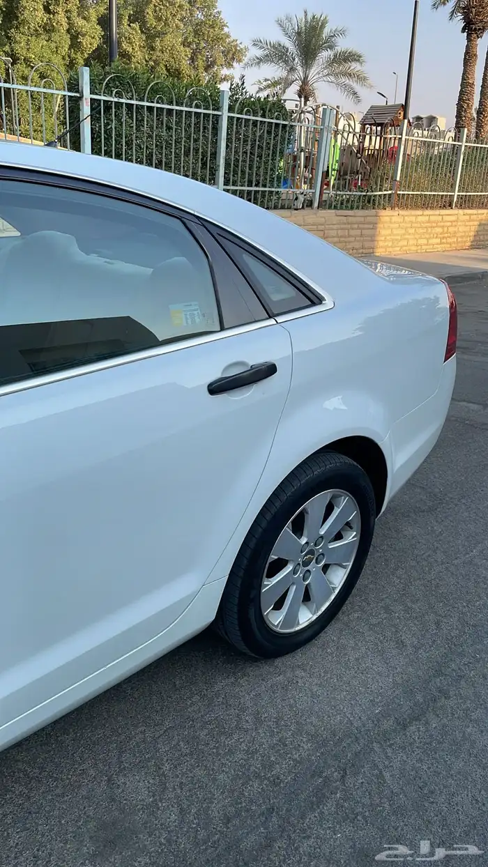 كابرس بلد ممشى 132 4