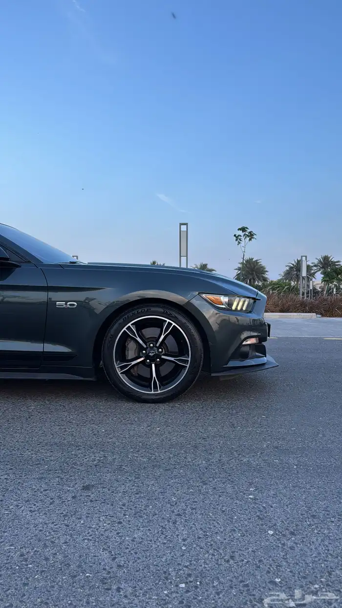 موستنق كاليفورنيا 2016 12