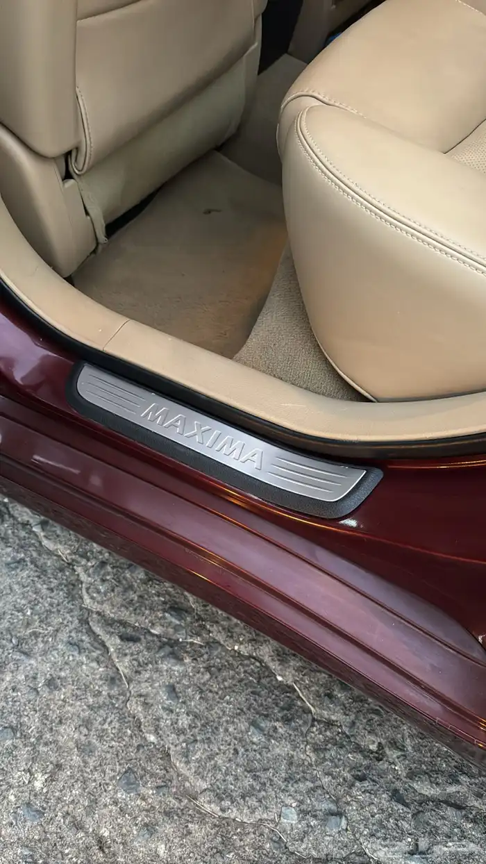 نسيان مكسيما 2009 28