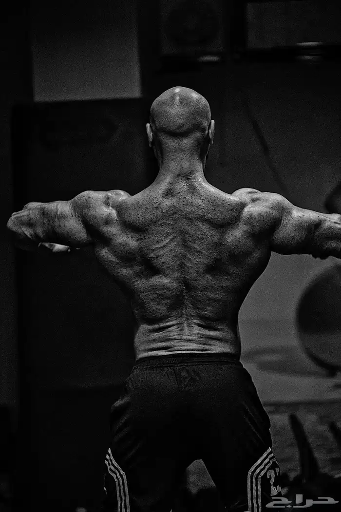 تدريب اونلاين وتغذية 3