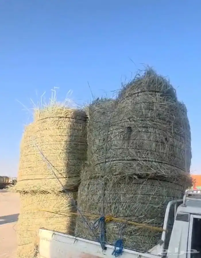 حموله تريله لفات رودس ناعم 0