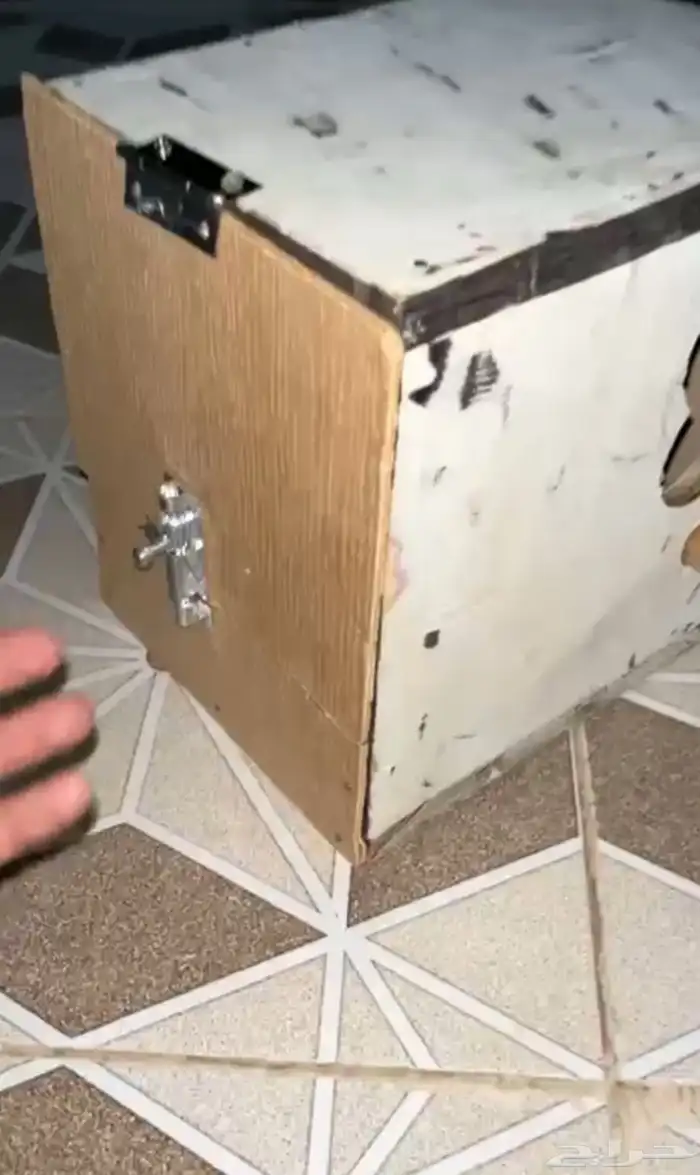 مستلزمات طيور إبر غر ونشاره وماكليات وعظم حبار وبياضات 5