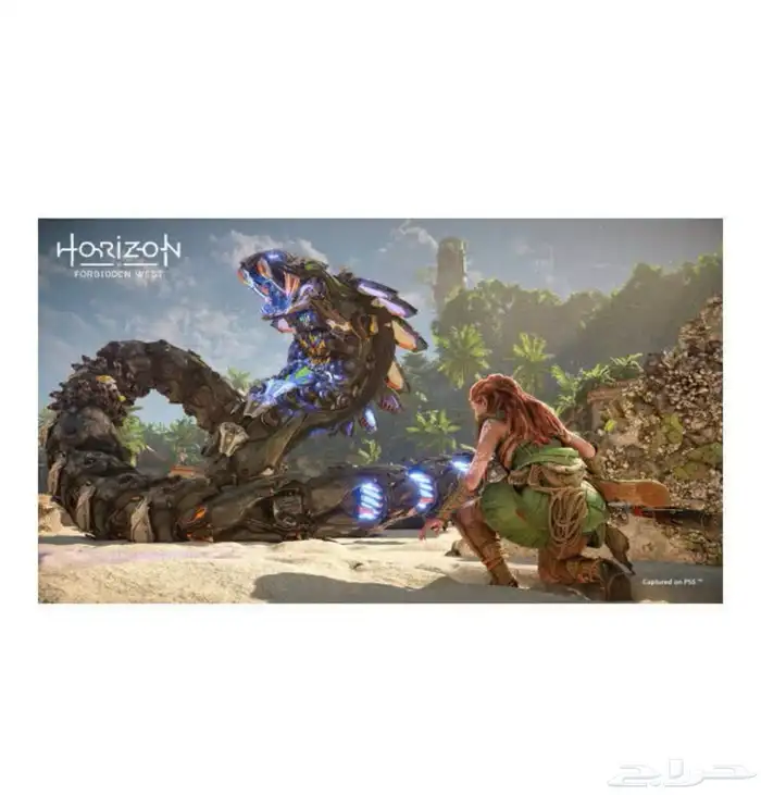 شريط هورايزون الغرب المحظور بلايستيشن 4 1