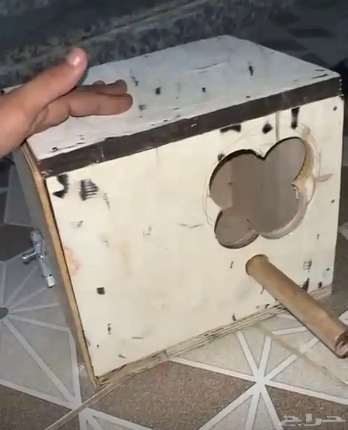 مستلزمات طيور إبر غر ونشاره وماكليات وعظم حبار وبياضات 4