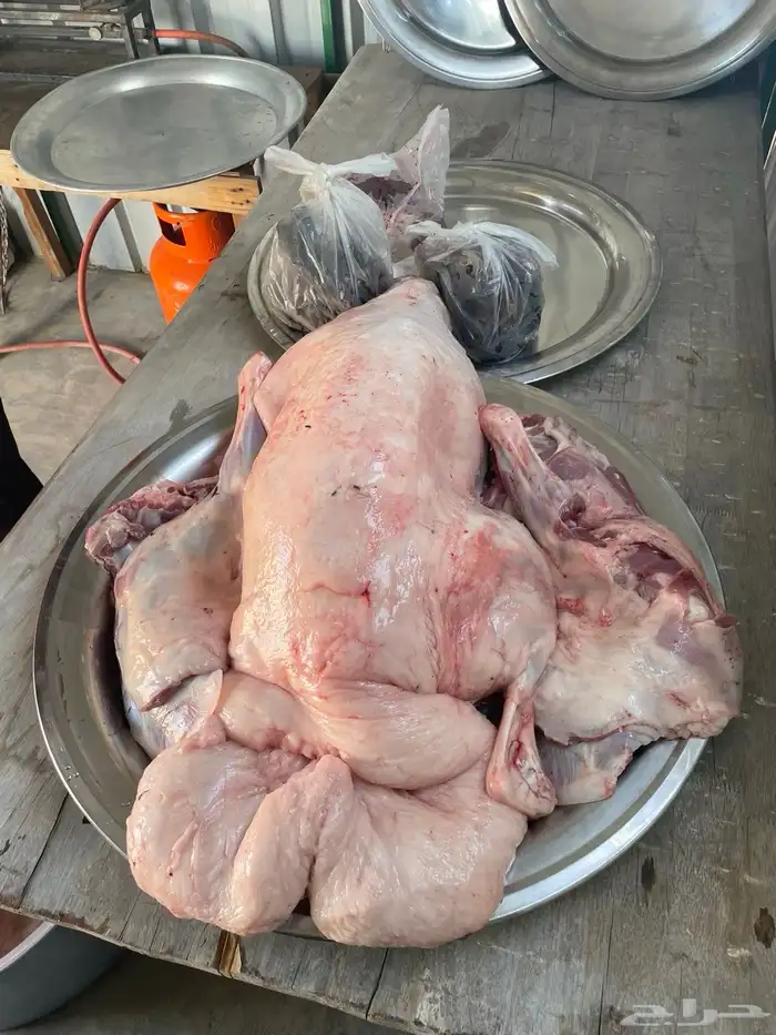 نعيمي او حري تمارا مع الذبح والتوصيل 7