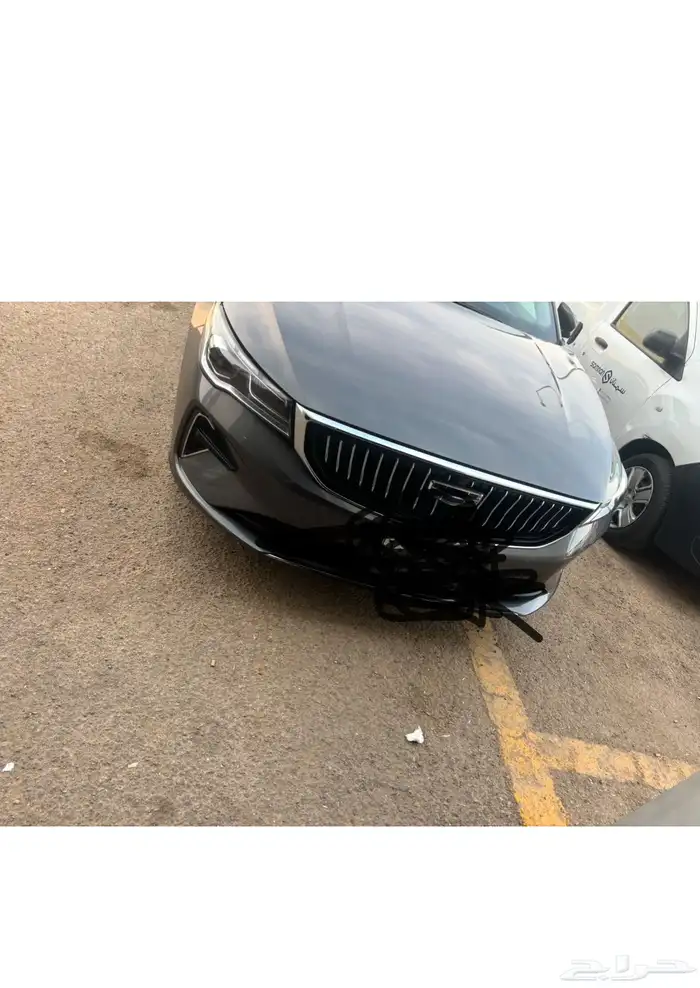 جيبى اميجراند 2024 0