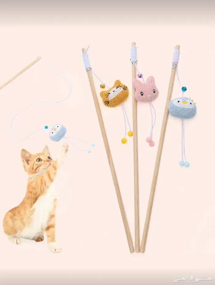 اغراض قطط كاملة للبيع غير مستعملة بسعر رمزي جدا . 8