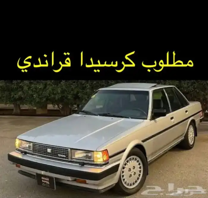 مطلوب  كرسيدا قراندي 0