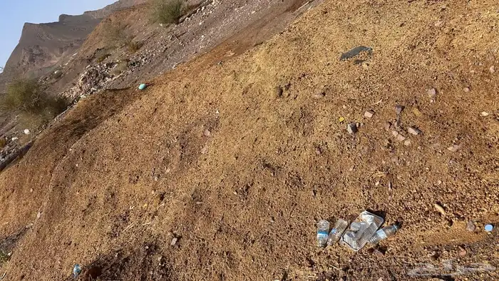 للبيع دمن غنم 2