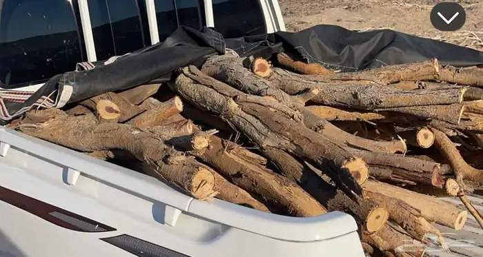 للبيع حطب شرط يابس توصيل الرياض والمزاحمية 0
