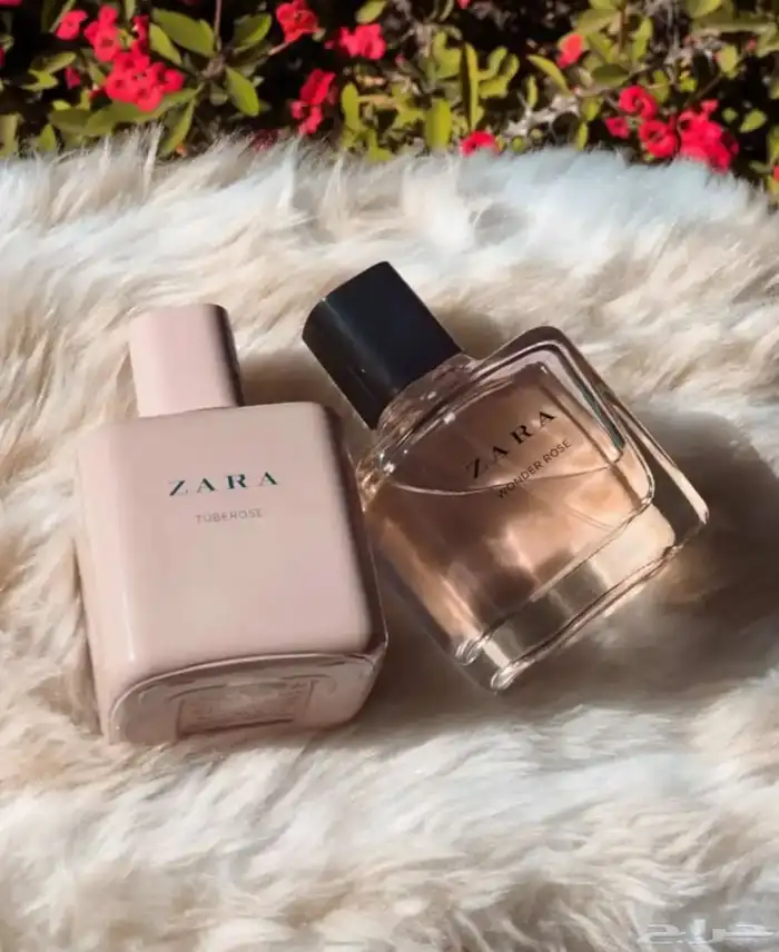 عطور عالمية اصلية بسعر الجملة 1