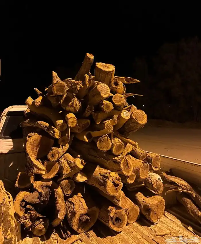 ح ط ب سمر مستورد 1