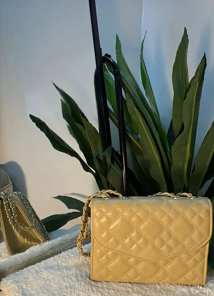 جميع الاشناط 35 ريال فقط بيع ربع درزن ونص وبالدرزن 6