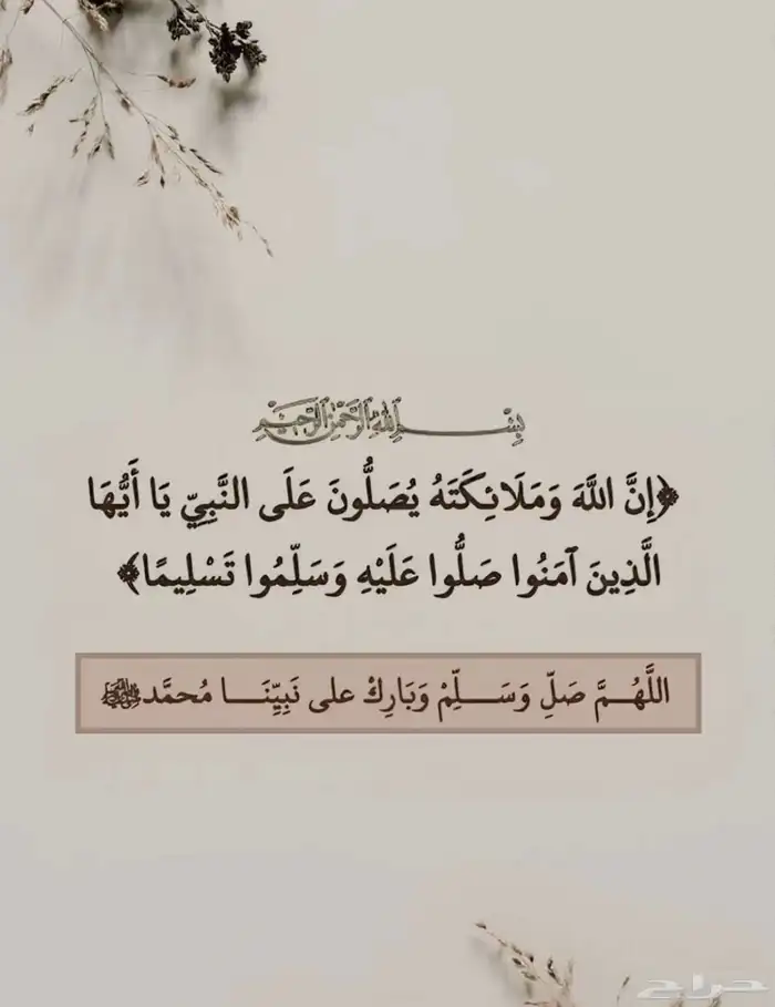 مطعم لتقبيل شاورما بيتزا فطاير كامل معدات نظيف 35 الف فقط 0