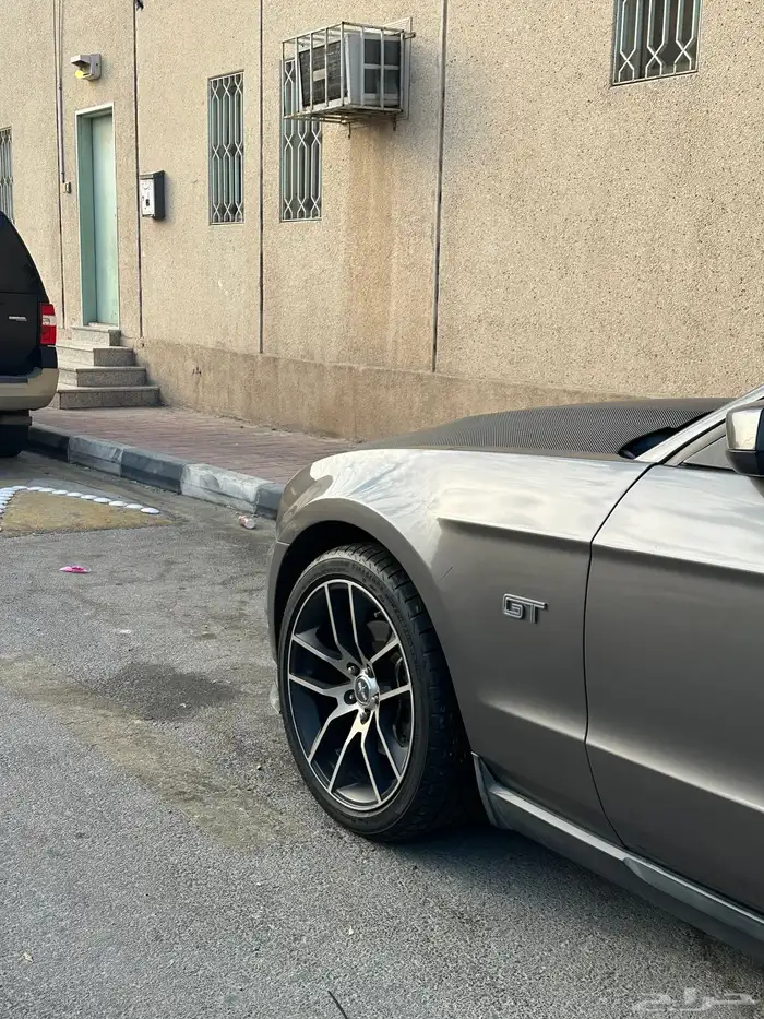 موستنج كوبية 2010 8