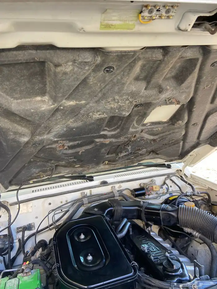 بترول سوبر سفاري 17