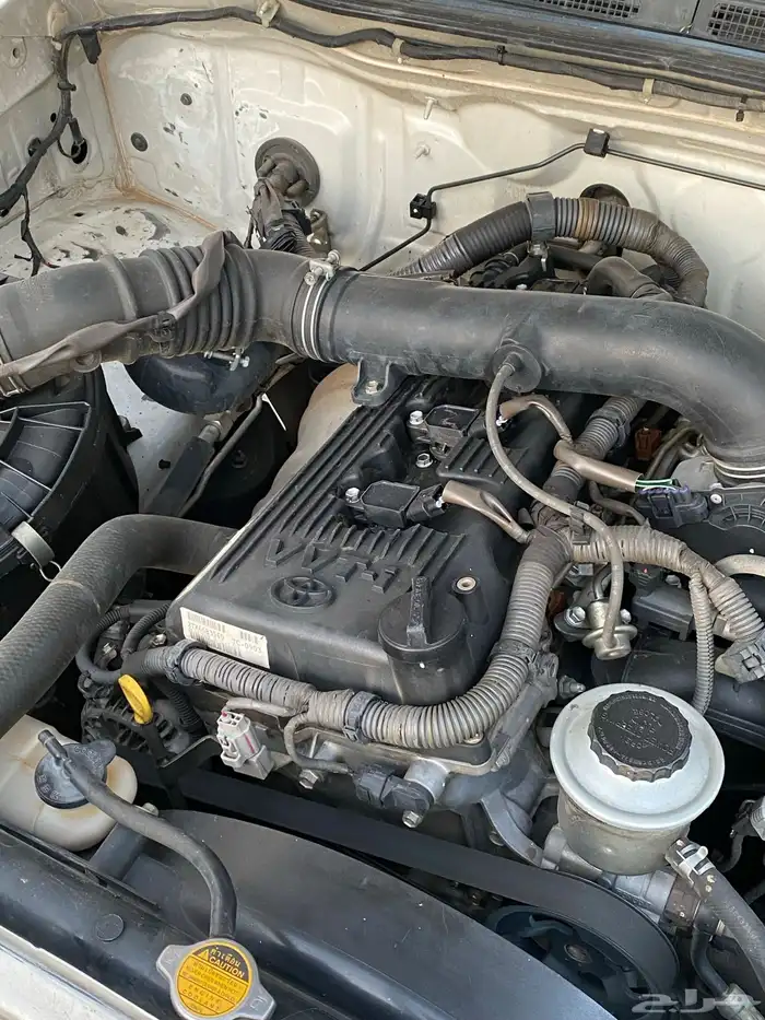 هيلكس مالك اول بودي شرط بيع للضروره 17