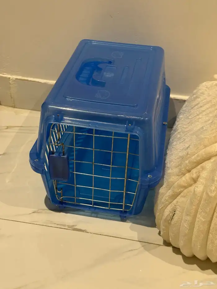 مستلزمات قطط   ألعاب قطط 3