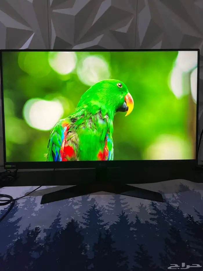 شاشة كمبيوتر إل جي إن يديا جي سينس للبيع 7