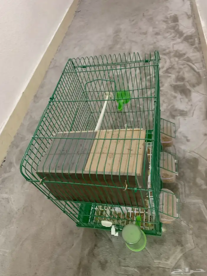 قفص طيور بحالة جيدة قفص جديد 2