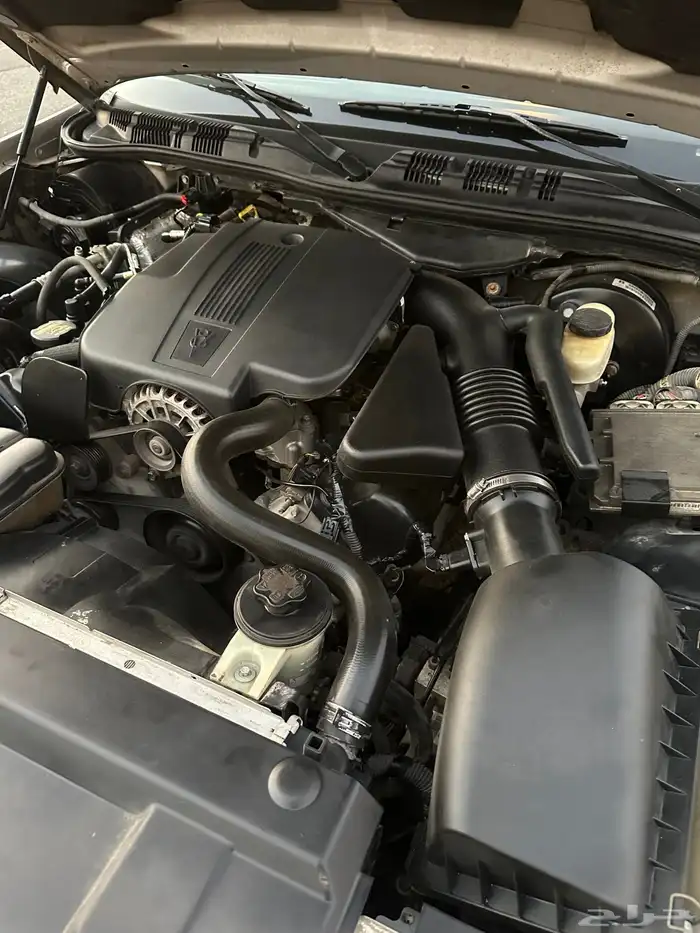 فورد مخزن 49