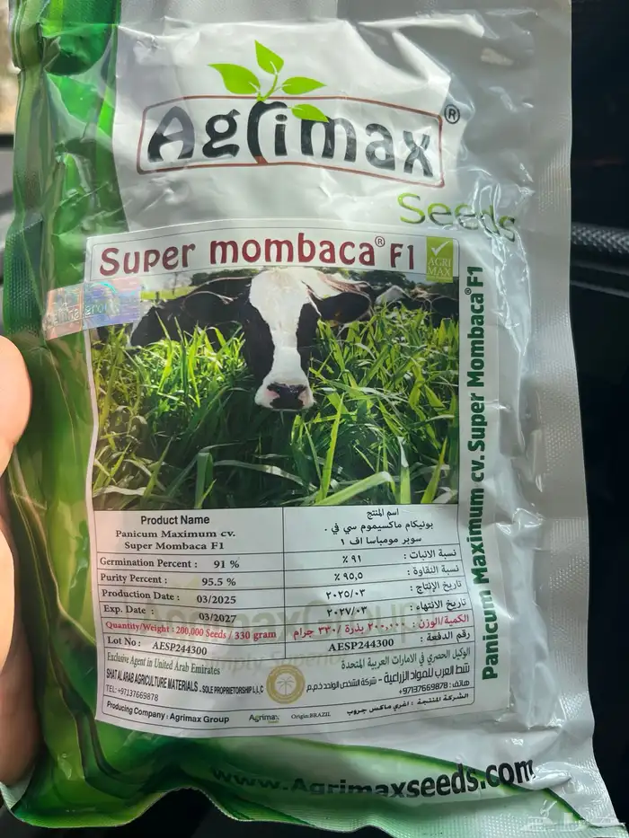 بذور بونيكام اسباني انتاج جديد 1