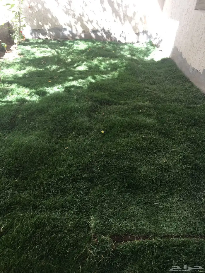 تنسيق الحدائق المنزلية 13