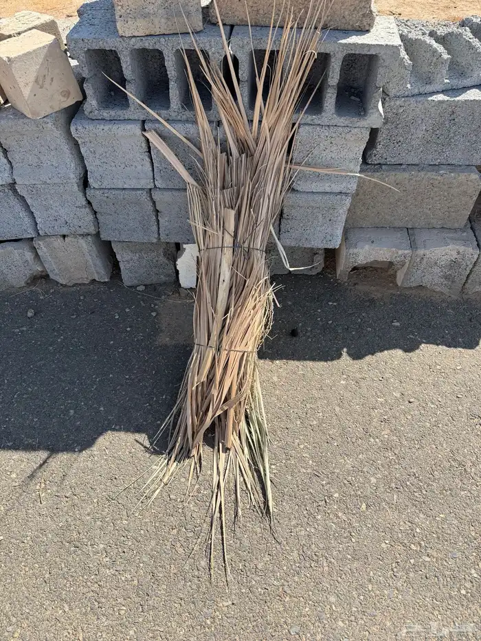 خوص وغلب وجراذيم 3