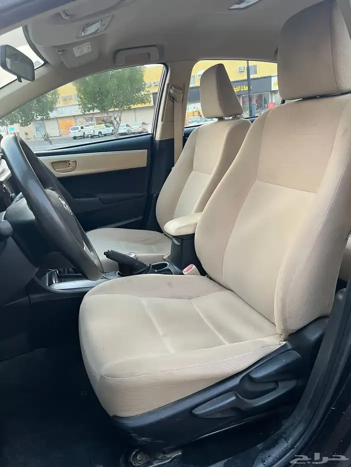 كوريلا لون بني ( موكا ) 2017 18