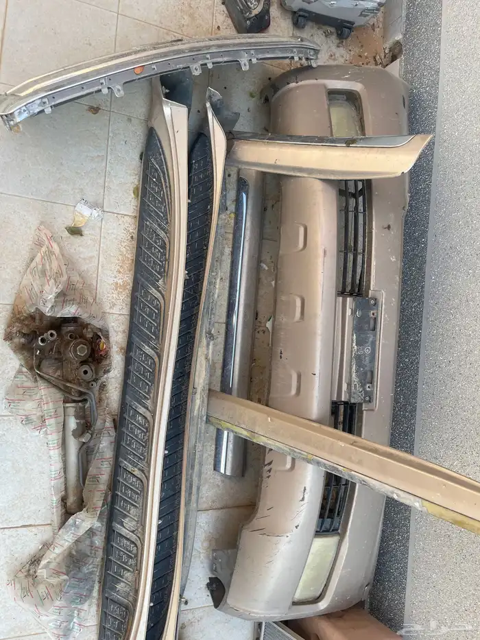 صدام جكسار 2008 1