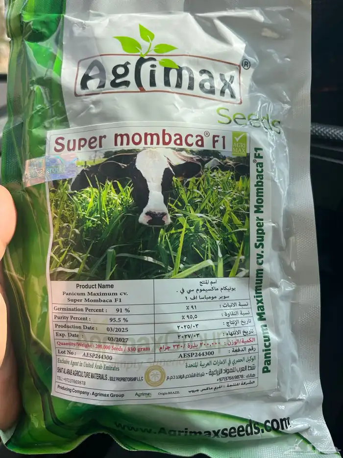 بذور بونيكام اسباني انتاج جديد 0