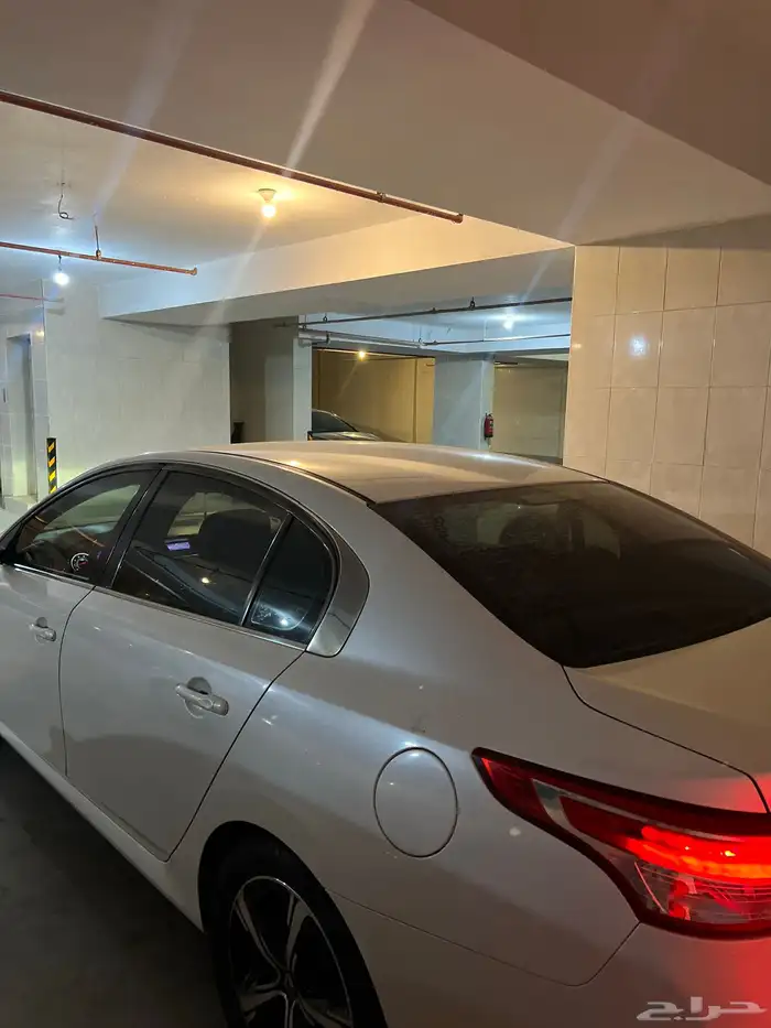 رينو سافران 0