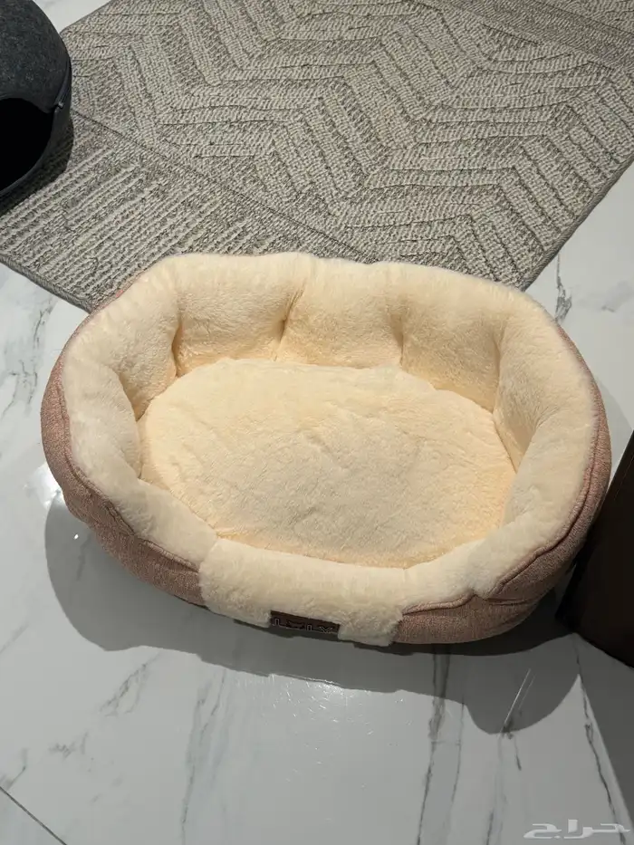 مستلزمات قطط   ألعاب قطط 4