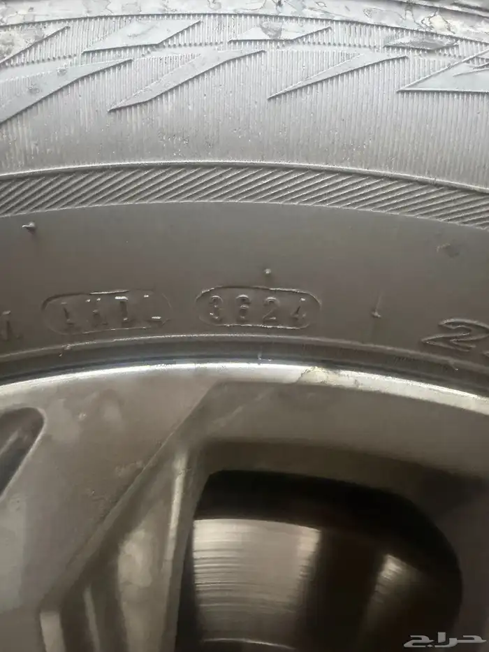 جنوط رافور 2022 2