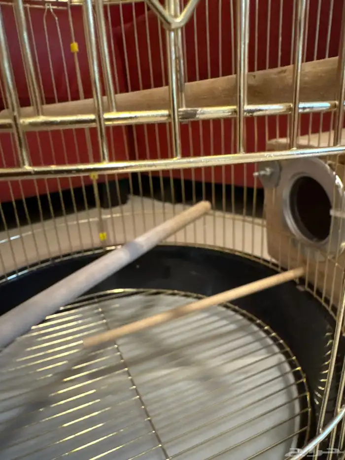 قفص طيور مع استاند 1