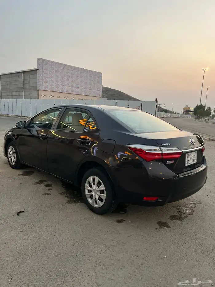 كوريلا لون بني ( موكا ) 2017 6