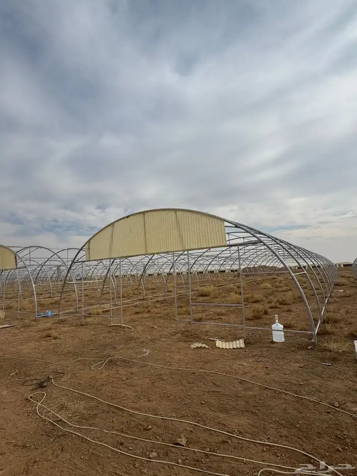 بيع بيوت محميه وتركيب بيوت محميه 13