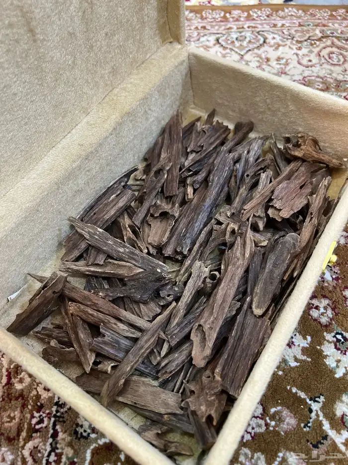 عود كلاكاس هندي طبيعي 1