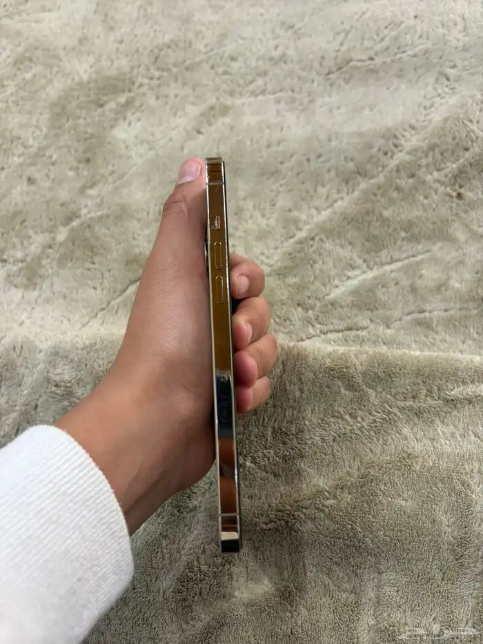 ايفون 12 برو ماكس 1