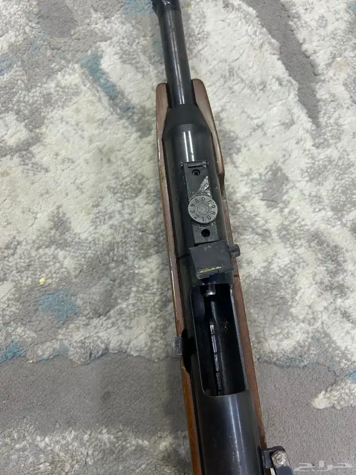 حق الموسم نفس م انت شايف ف صوره المانيه ديانه 0