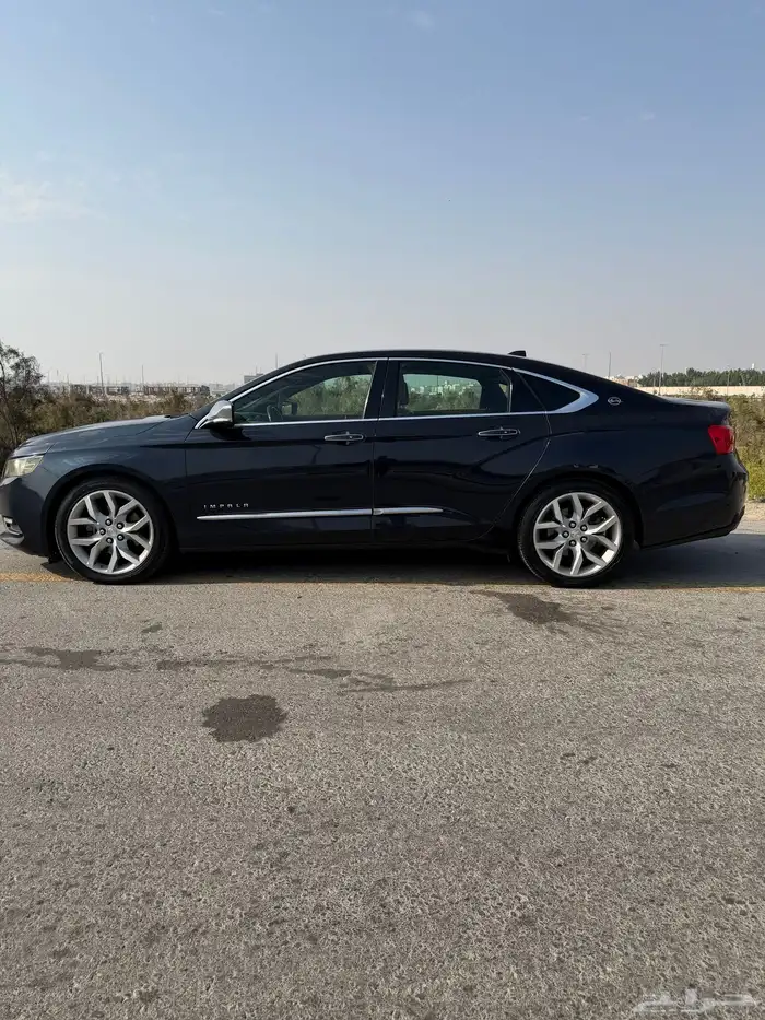 امبالا فل 2014 5