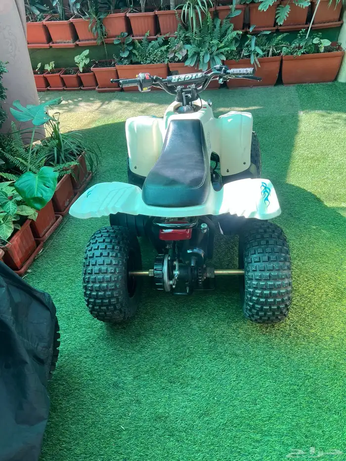 دباب تايواني مقاس 80 3