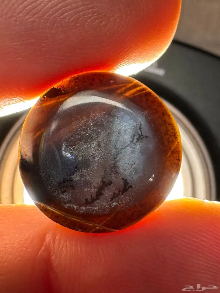 عقيق بقراني يماني اسود شجري مصور نوادر 4