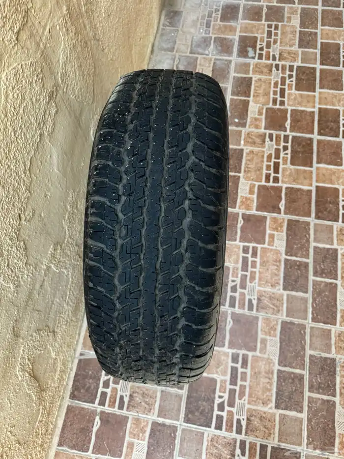 طيس صني وكفر مقاس 14 وكفر مقاس 18 3