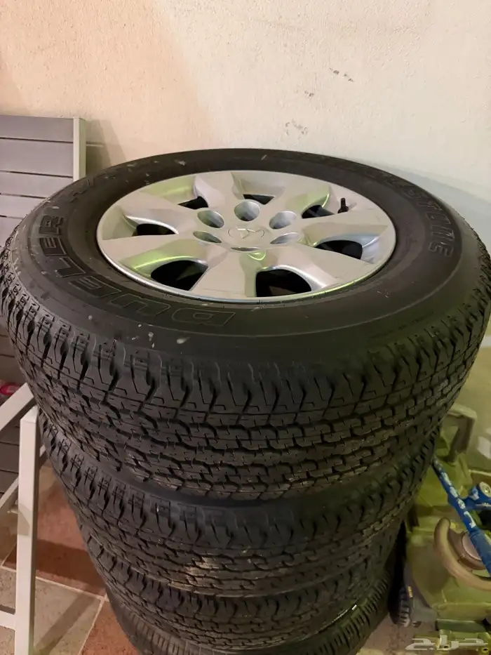 جنوط باجيرو وكالة 1