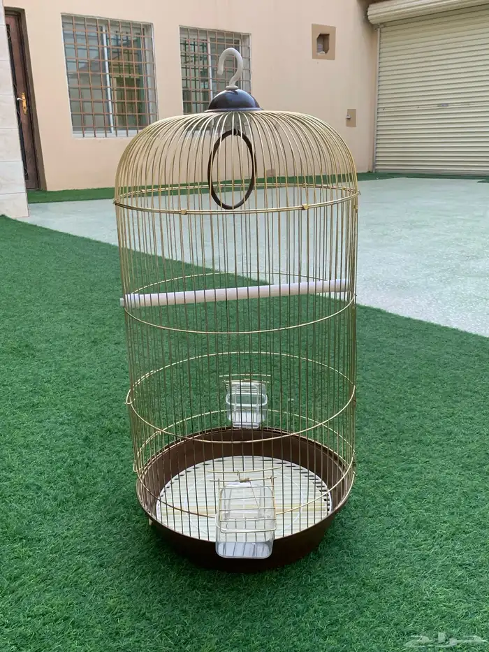 اقفاص عصافير زينه 5