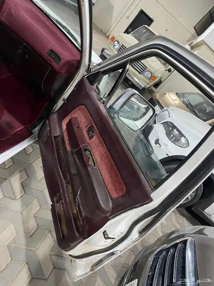 ددسن نظيف شرط 8